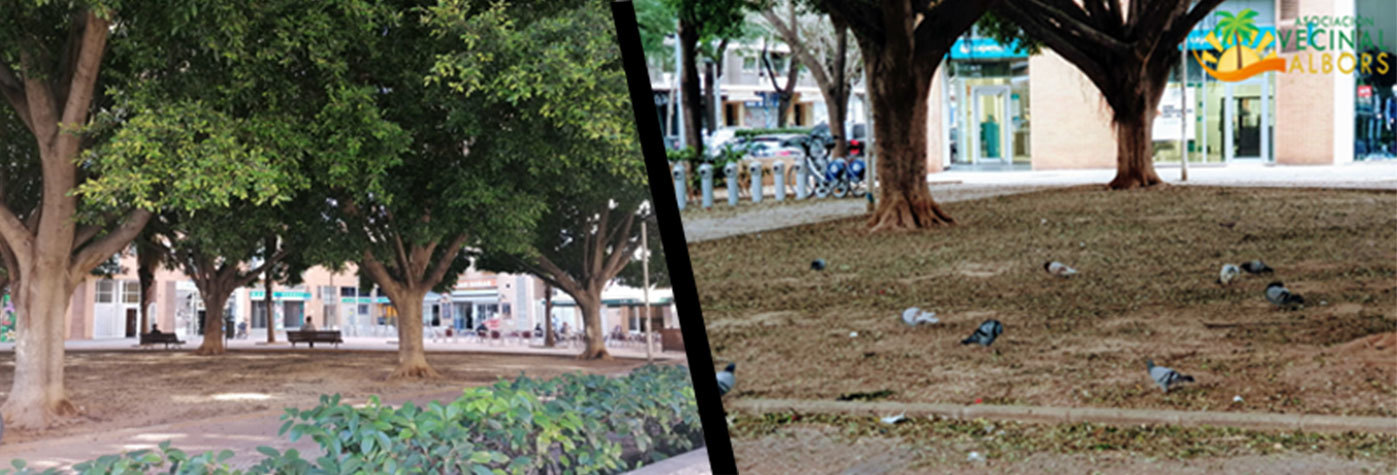 Situación parque Albors