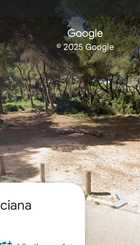 IMG-20250506-WA0030.jpg
