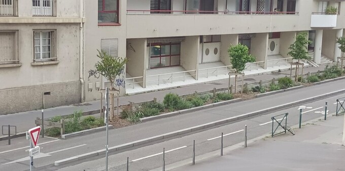 Calle renaturalizada