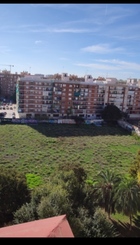 Descampados