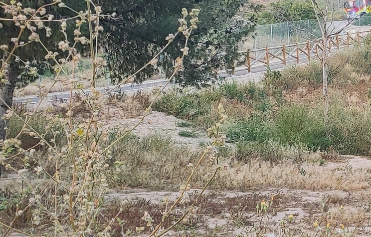 PIPI CAN EN BENIFERRI