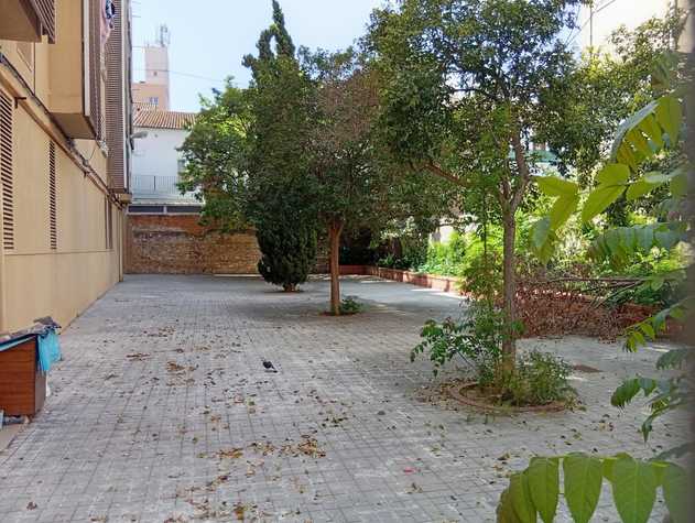 Estado actual del jardín