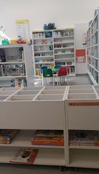 IMG_20250220_133648b.jpg