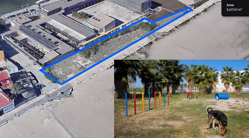 Parque canino en Pinedo Valencia