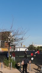 thumbnail_IMG_20240411_193721.jpg