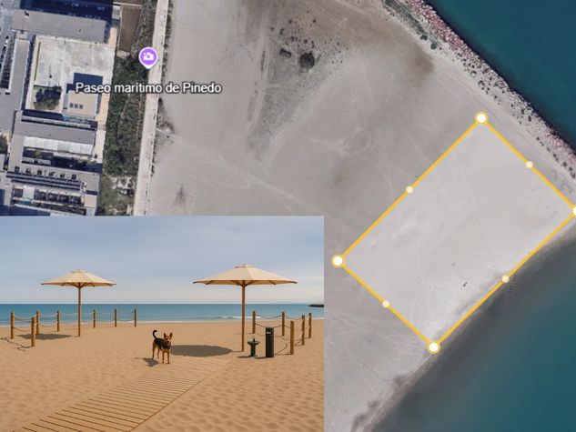 Playa_de_perros_de_Pinedo.jpg
