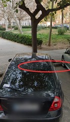 1000065533.jpg