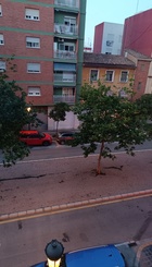 Sucio e insalubre