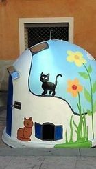 contenedor_gatos.jpg