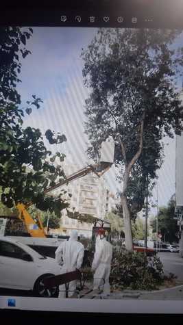 Seguridad_2.jpg