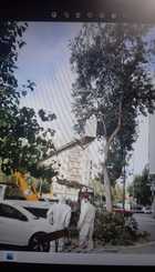 Seguridad_2.jpg