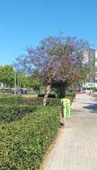 Farolas fuera de sitio