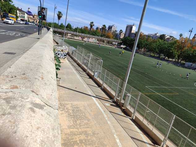 imagen del campo