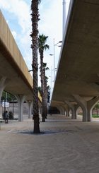 Añadir árboles entre las palmeras