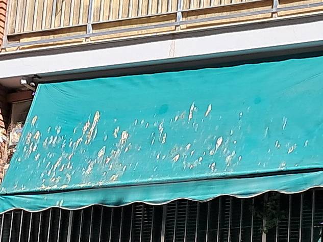 toldo