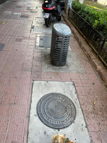 Estado actual
