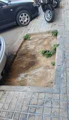 IMG-20250522-WA0010.jpg