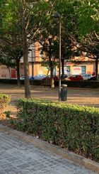 Parque de Perros sin Valla