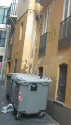 IMG_3731.jpeg
