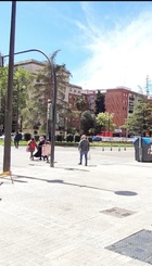1000241554.jpg