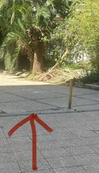 Acceso.jpeg