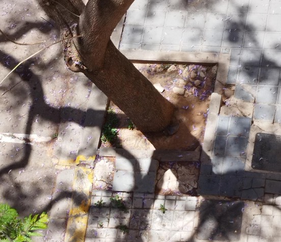ACERAS Y PASOS PEATONES EN PATRAIX