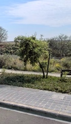 IMG_0569.jpeg