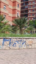 Fuente plaza cedro