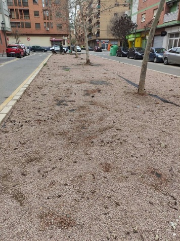 Medianera Carrer d'Agullent, Benicalap