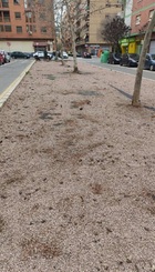 Medianera Carrer d'Agullent, Benicalap