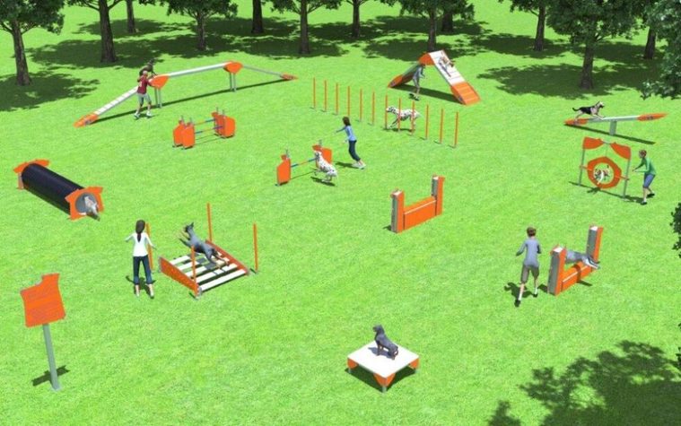 EJEMPLO DE ZONA AGILITY