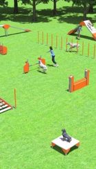 EJEMPLO DE ZONA AGILITY