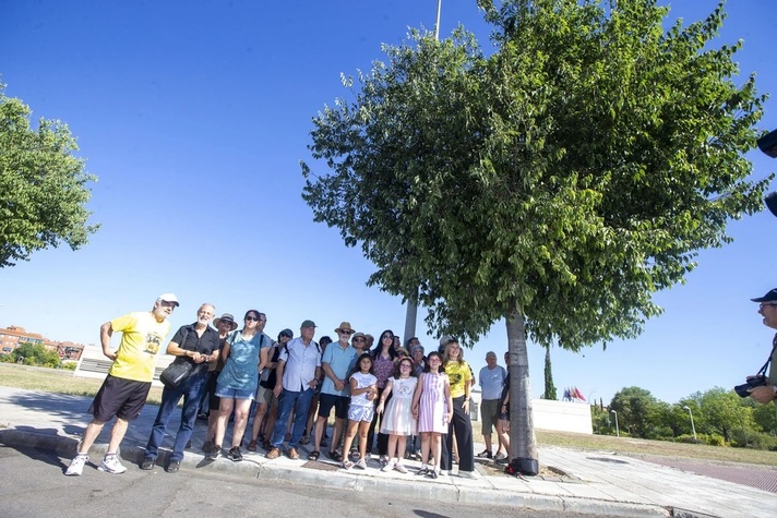 celtis_australis.jpg