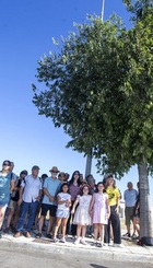 celtis_australis.jpg