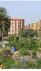 Huerta Benimaclet