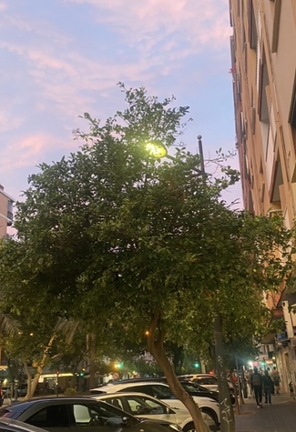 IMG_1944.jpeg