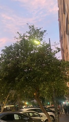 IMG_1944.jpeg