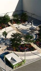 Proyecto Plaza de Roma