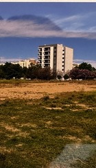 IMG_9290.jpeg
