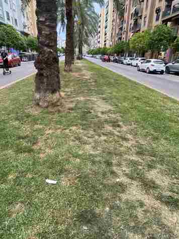 Carril-bici.jpg