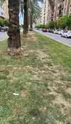 Carril-bici.jpg