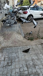 IMG20220704122329_-_copia.jpg